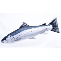 Gaby polštář Pstruh mořský mini 51 cm