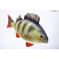 Gaby polštář Okoun říční mini 35cm