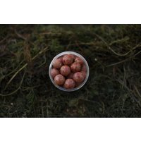 LK Baits Fresh Boilies Restart Mussel 14mm 150ml
