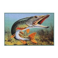 Delphin rohož 3D štika 60x40cm